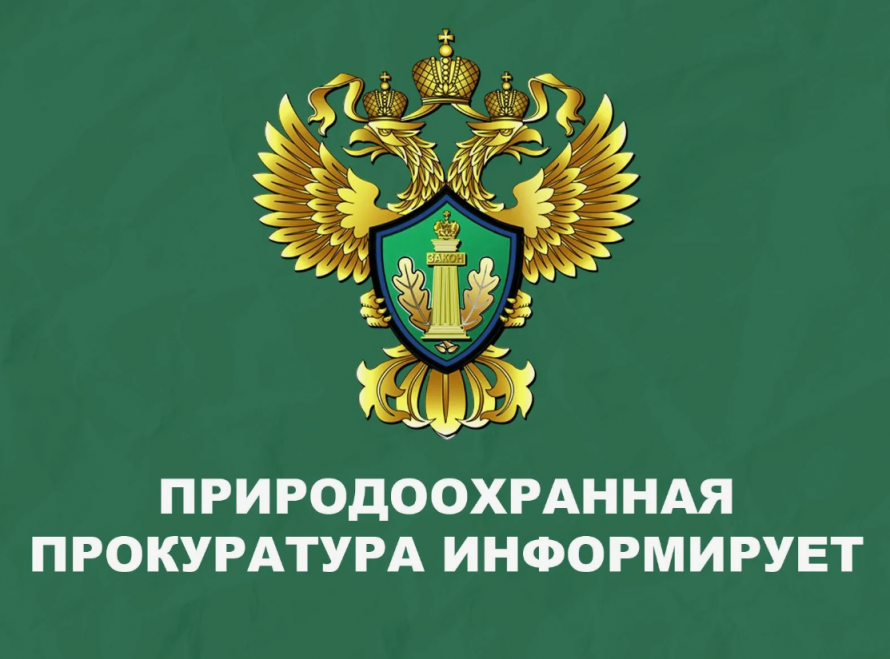 О соблюдении законодательства о пожарной безопасности в лесах и ответственности за возникновение природных пожаров 