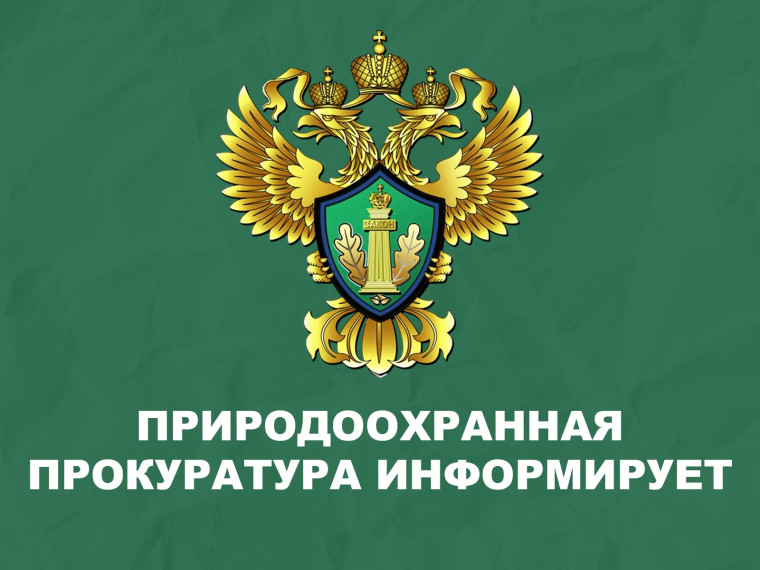 В Забайкальском крае по иску природоохранного прокурора с лесопользователя взыскана задолженность по договору аренды лесного участка